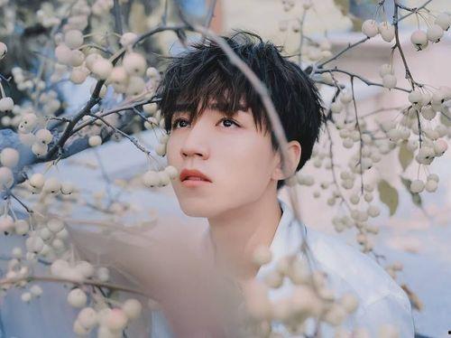 吃瓜鹅娱乐速报肖战,吃瓜鹅娱乐速报，揭秘明星背后的故事